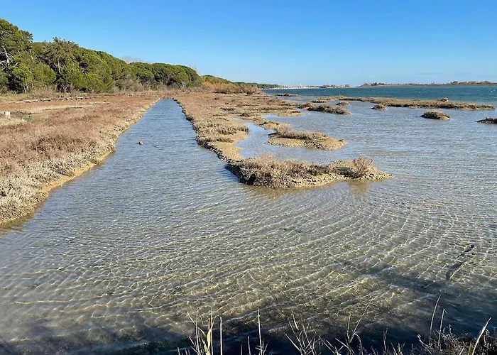 Downtown Flat 250mt From The