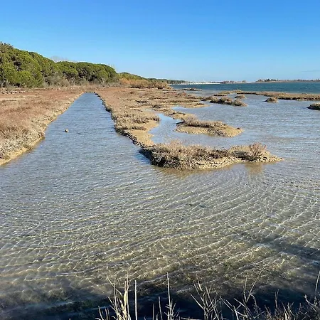 Downtown Flat 250mt From The